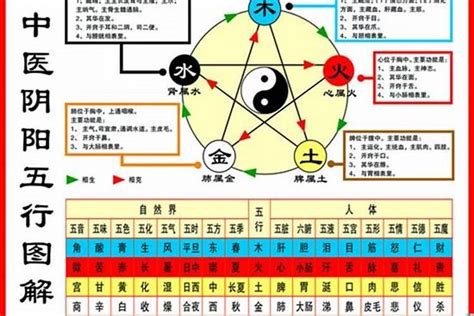 土鼠命|金、木、水、火、土，五行看屬鼠的命運！屬鼠人看看。